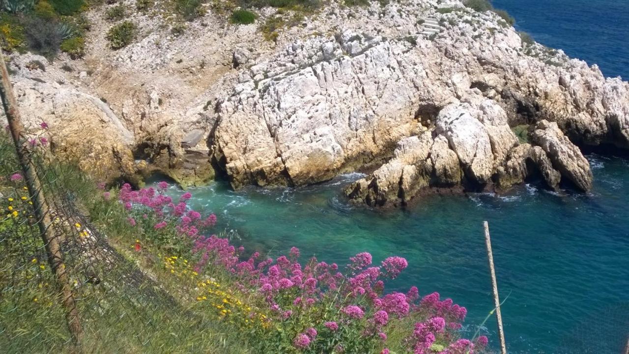 Petit Cocon A Mourepiane Lejlighed Marseille Eksteriør billede